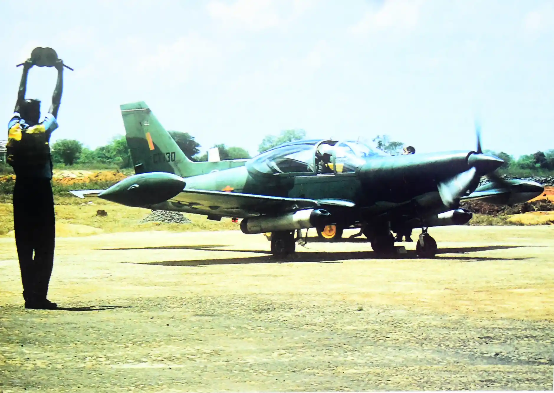 Wings of the Fledgling Force